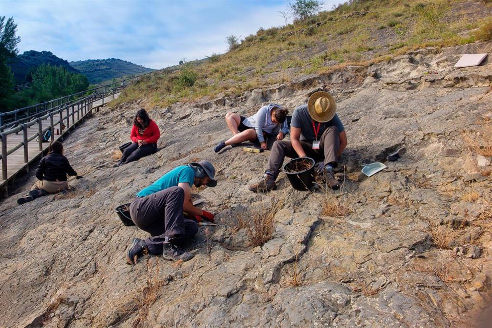 Eidción anterior del Curso de Verano Icnitas de dinosaurio en Igea