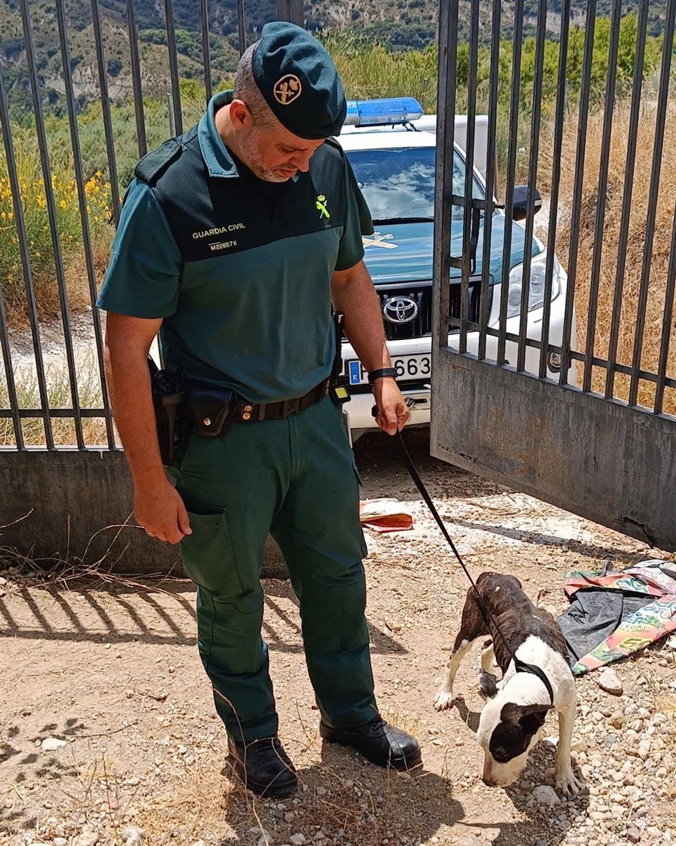 Los perros se encontraban en "pésimo" estado higiénico y sanitario.