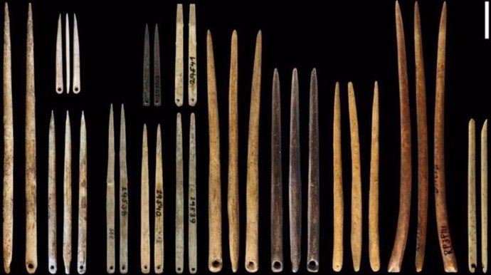 Muestrario de agujas excavadas en yacimientos arqueológicos