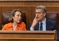 El PP acusa a Sánchez de querer "ahogar a la prensa que no oculta la corrupción": "No apoyaremos ninguna caza de brujas"