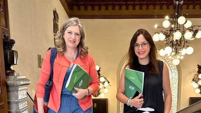 Concejales de Vox en el Ayuntamiento de Granada.