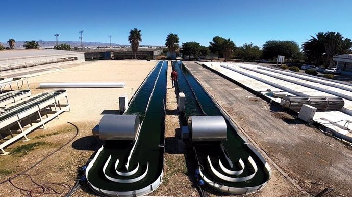 Reactores 'raceway' utilizados en este tipo de procesos de tratamiento de aguas residuales con microalgas.