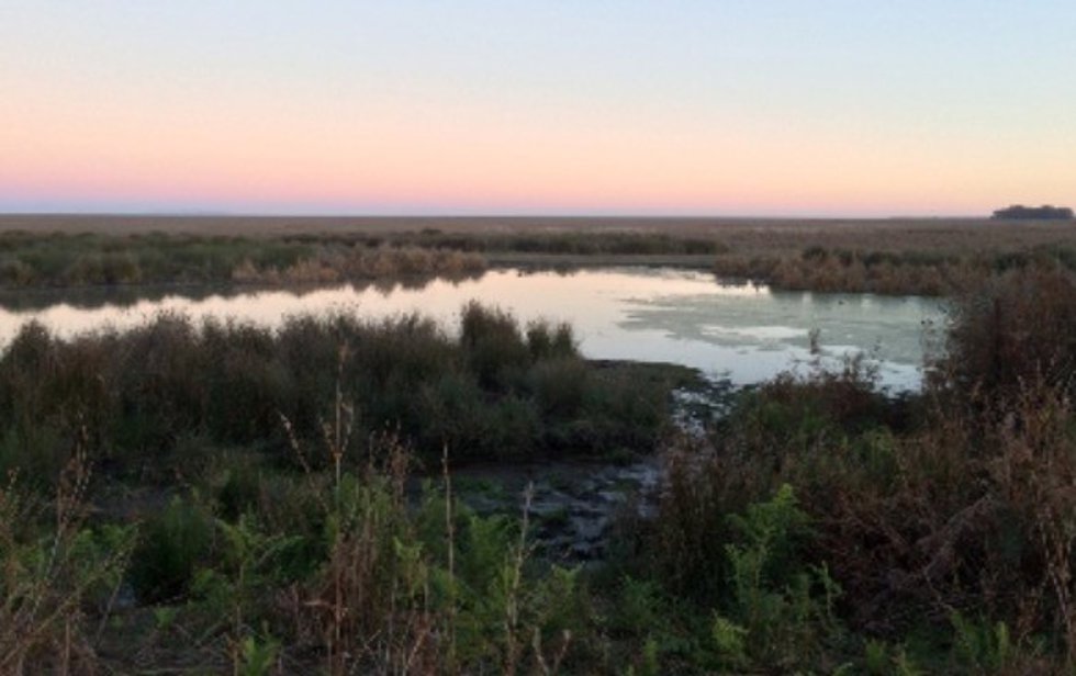 Laguna de Doñana.