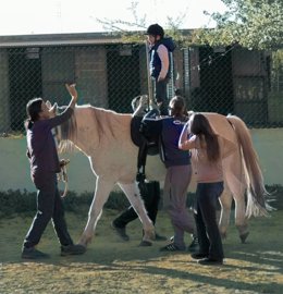 Programa de intervención educativa con caballos