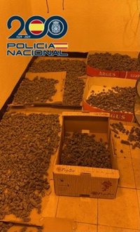 Detenido en Granada con once kilos de cogollos de marihuana y una pistola en su casa de la Chana