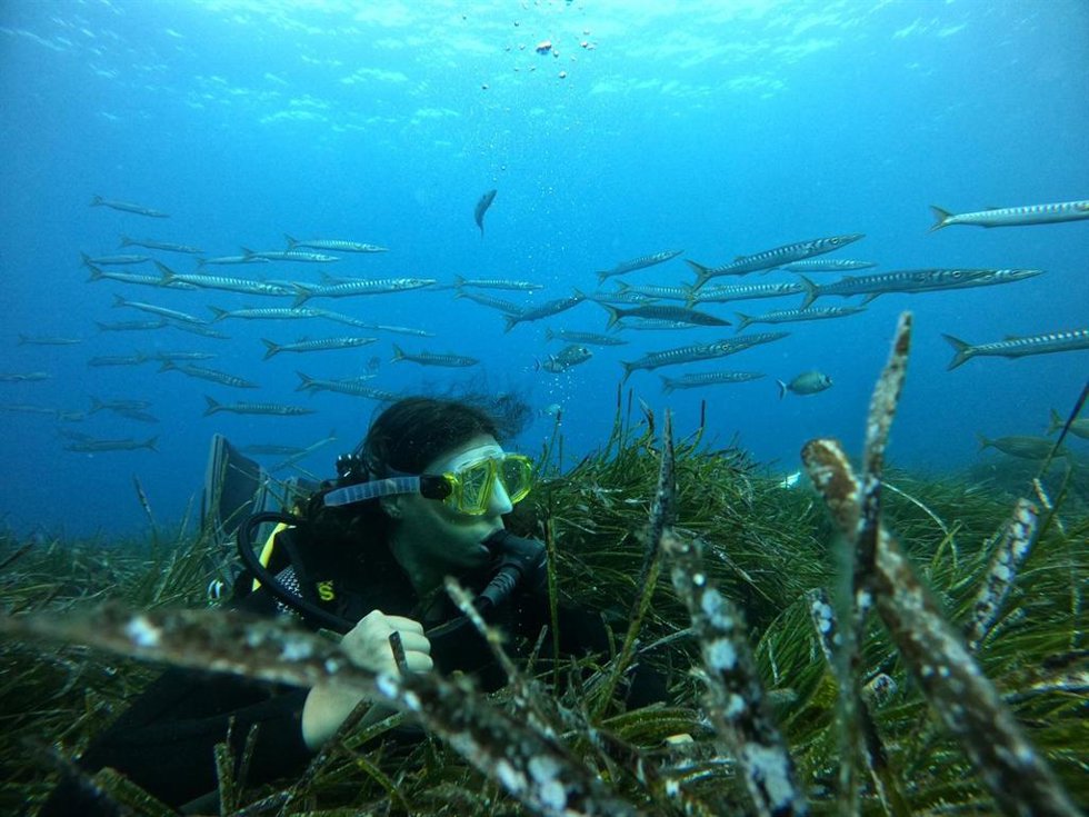 Una buceadora rodeada de posidonia oceánica.