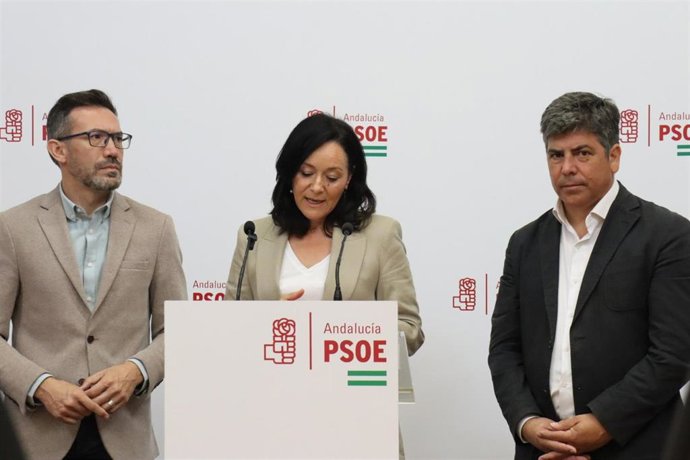 Crespín interviene, entre Romero y Llamas, en la sede provincial de su partido.