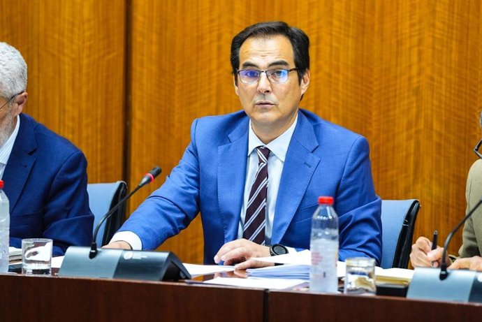 El consejero de Justicia, José Antonio Nieto, en la comisión parlamentaria del 2 de julio de 2024.