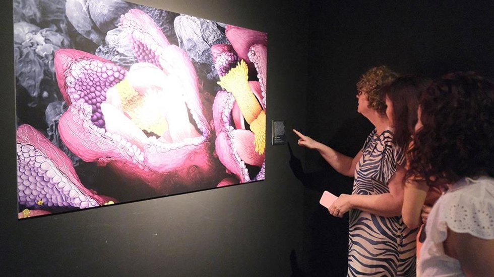 Una imagen de la exposición 'Invisible. La naturaleza imperceptible'