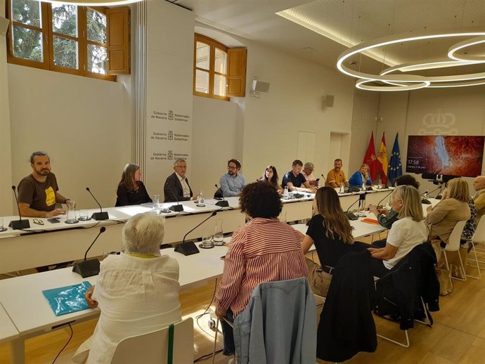 Imagen de la reunión del Consejo Navarro del Voluntariado