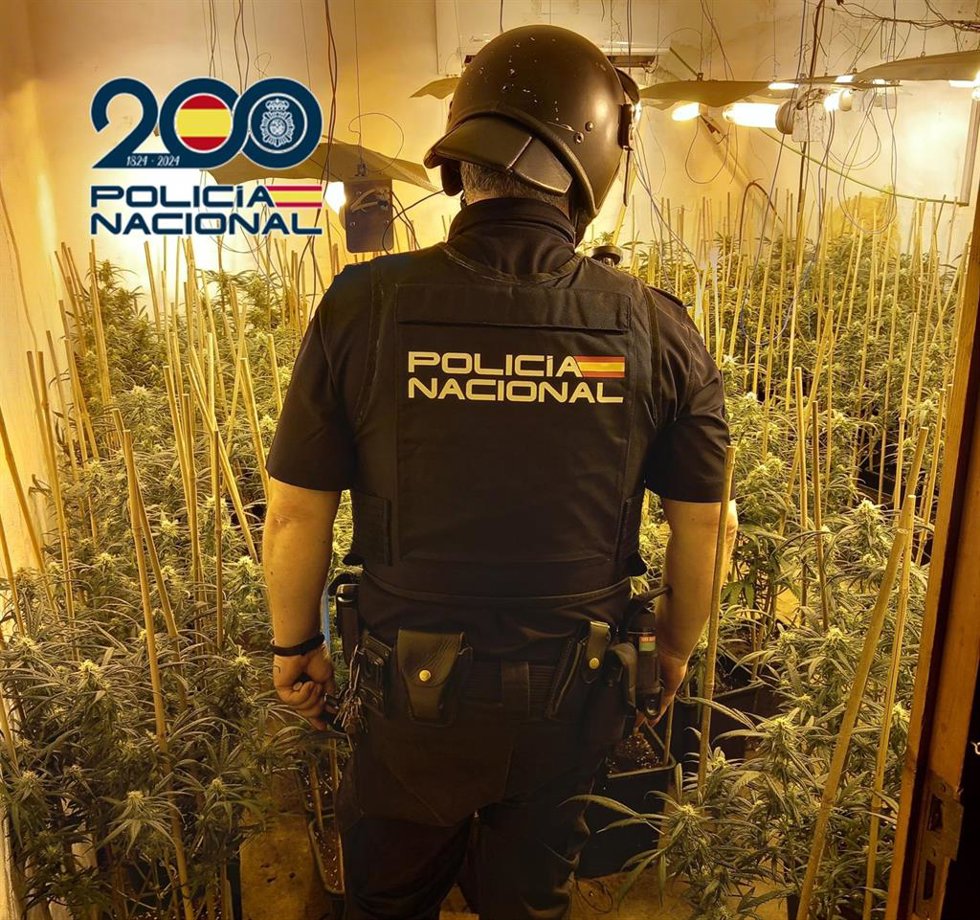 Un agente de policía en una de las plantaciones desmanteladas