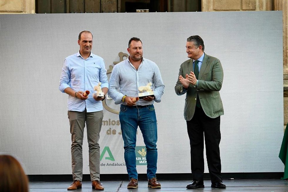 Sanz en Andújar