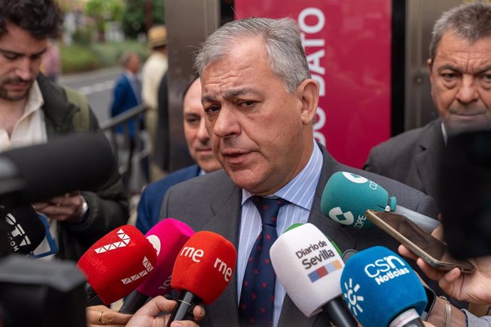 El alcalde de Sevilla, José Luis Sanz atiende a los medios de comunicación 