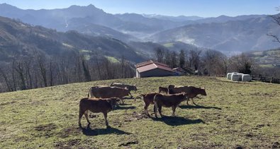Asturias Rural