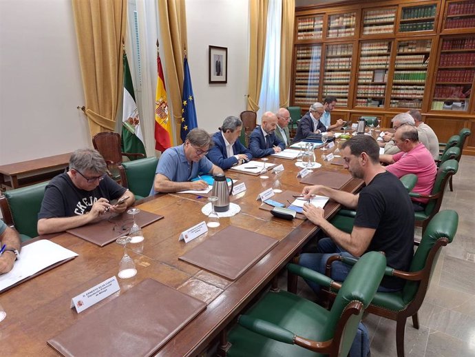 Reunión en la Subdelegación del Gobierno por la Comisión de Seguimiento de PFEA Málaga.