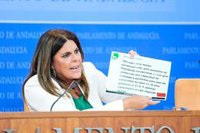 El PSOE-A sostiene que Moreno "llegó al poder a lomos de una cacería política" tras la sentencia del TC sobre los ERE