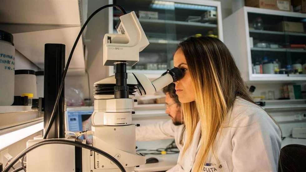 Ciencia concede más de 72 millones para financiar 16 centros y unidades de excelencia Severo Ochoa y María de Maeztu