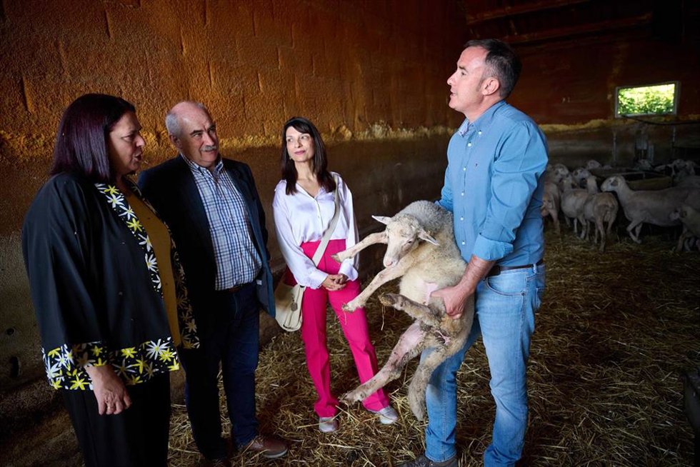 El consejero Aierdi junto con la secretaria de Estado de Agricultura y Alimentación, Begoña Garcia, visitan una explotación ganadera.