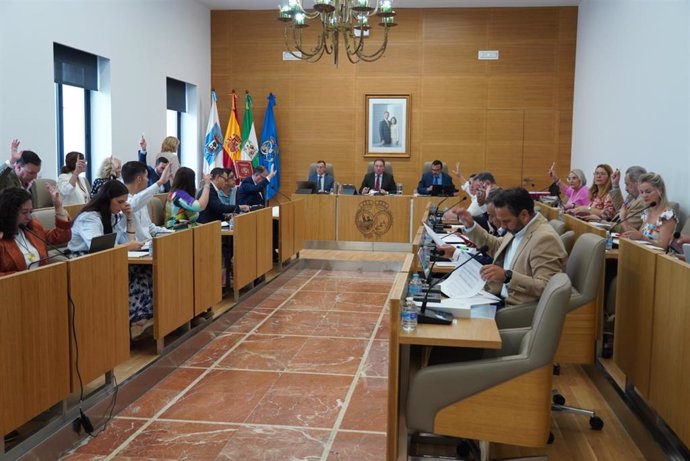 Pleno de la Diputación de Huelva.