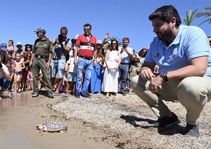 El presidente del Gobierno regional, Fernando López Miras, durante la suelta de 30 ejemplares de tortuga boba en playa de Isla Playa, en Cartagena