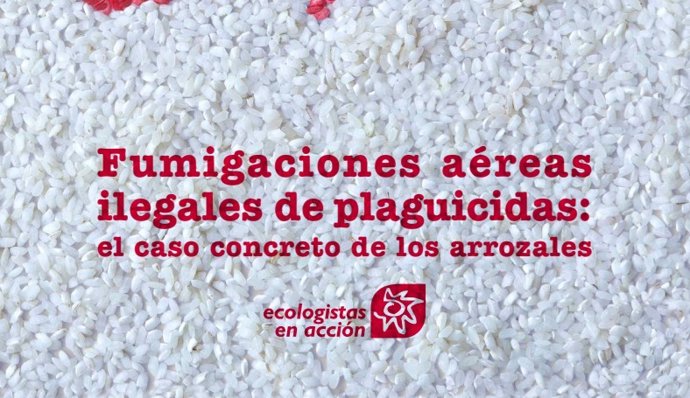 Ecologistas denuncia que en España se han fumigado 234.000 hectáreas de arrozales en cinco años en contra de la ley.