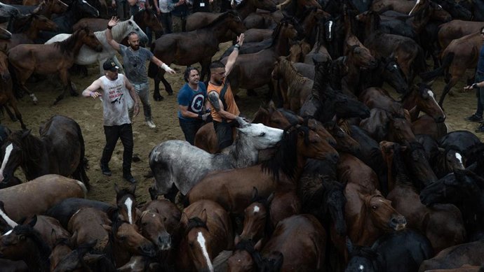 Archivo - Los aloteiros se acercan a los caballos en el castro durante la Rapa das Bestas 2022, a 3 de julio de 2022, en Sabucedo, Pontevedra, Galicia (España). Entre todas las rapas das bestas que tienen lugar en Galicia cada verano, el de Sabucedo desta