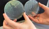 Foto: Los datos de los móviles pueden servir para entender la propagación de patógenos y bacterias