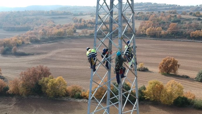 Técnicos de Endesa trabajando en la red de alta tensión.