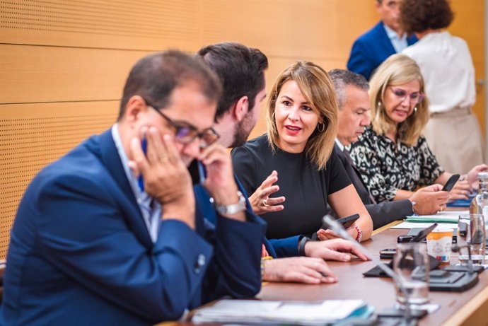 Krysten Martín, consejera de Comercio del Cabildo de Tenerife