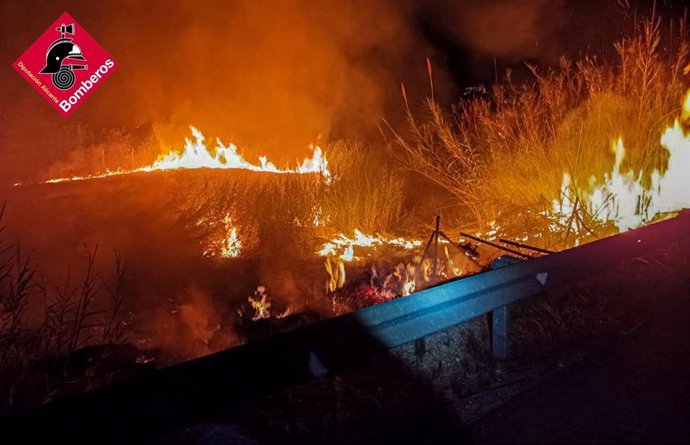 Un incendio de vegetación quema 1.000 metros cuadrados de cañar entre Callosa del Segura y Cox