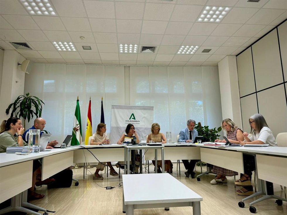 Reunión del Comité Director de Cronicidad presidida por la consejera de Salud y Consumo, Catalina García.