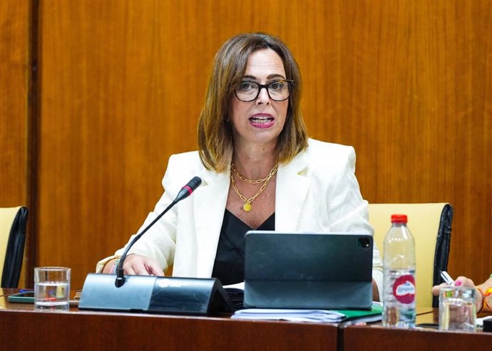 La consejera de Fomento de la Junta de Andalucía, Rocío Díaz, en la comisión parlamentaria del 4 de julio de 2024.