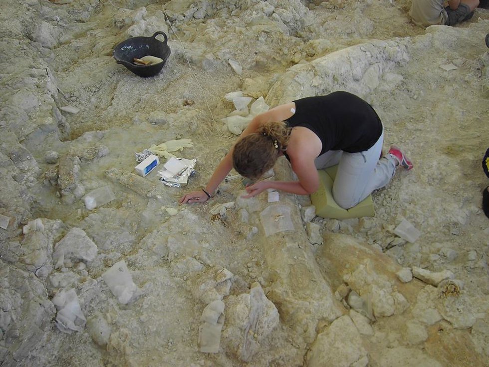 Archivo - Científicos de la UMA hallan una trampa natural en arenas movedizas con más de un millón de años en 'cementerio de elefantes' de Orce