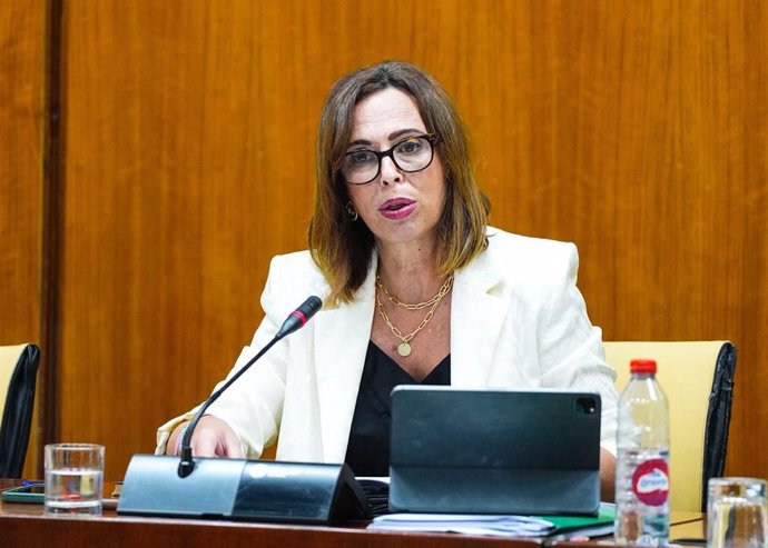 La consejera de Fomento de la Junta, Rocío Díaz, en la comisión parlamentaria. 