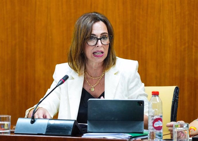 La consejera de Fomento de la Junta, Rocío Díaz, en la comisión parlamentaria.