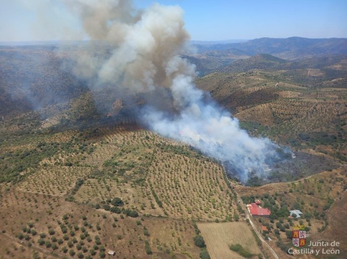 Imagen del incendio en La Fregenada.