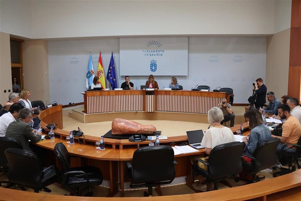 Comisión 6, de Industria, Enerxía, Comercio e Turismo del Parlamento gallego.