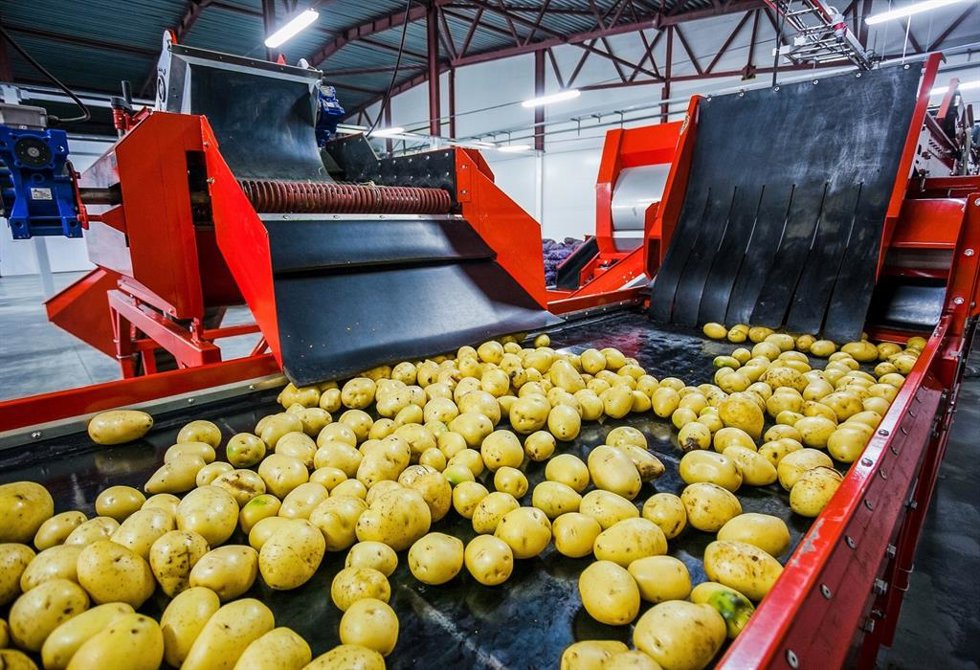 Patatas andaluzas, uno de los productos con mayor exportación a nivel internacional.