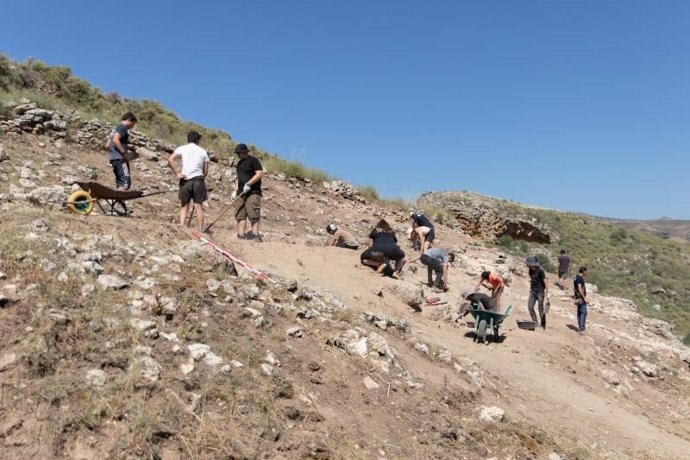 Archivo - Campo en Contrebia Leucade