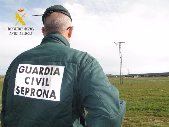 Agente de Guardia Civil.