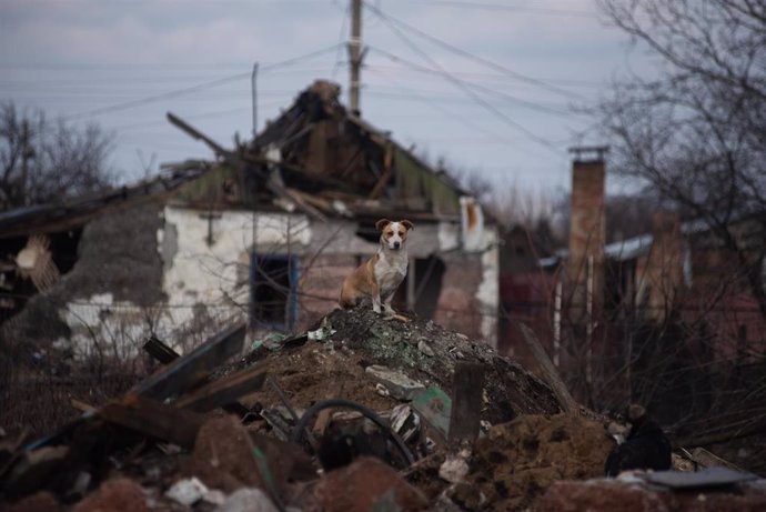 Archivo - February 21, 2024, Prokovsk, Prokovsk, Ukraine: Destruction near the front of Advidka made by the Russian boms in villages and towns.