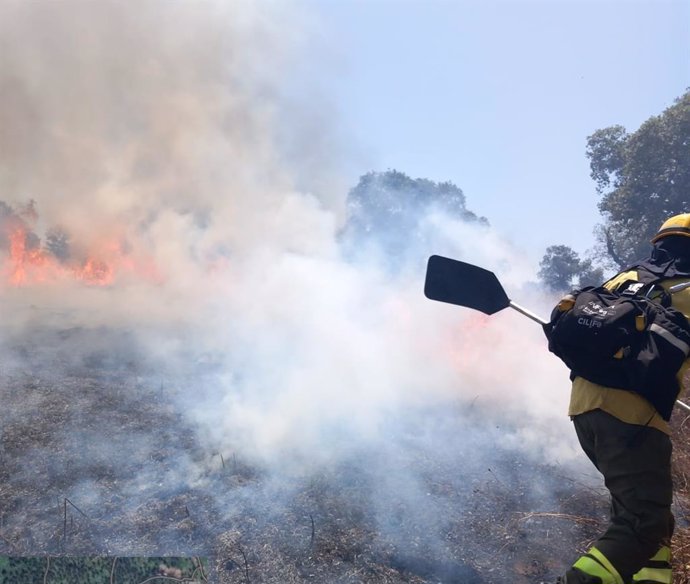 Un bombero forestal lucha contra las llamas en el incendio forestal en Villanueva de Córdoba.