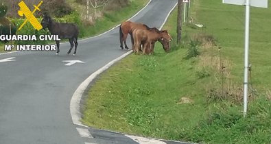 Galicia