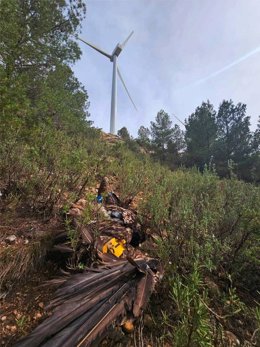 Se trata del primer caso de un quebrantahuesos muerto por un aerogenerador en España.