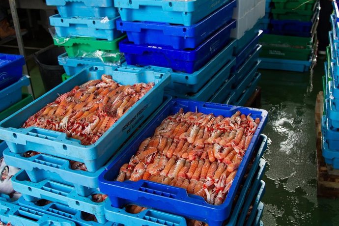 Archivo - Productos en una lonja