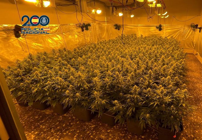 Parte de la droga incautada