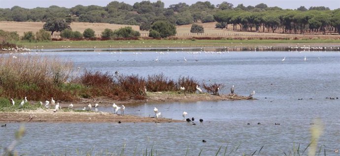 Laguna de la Dehesa de Abajo.