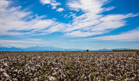 Comunicados Empresas