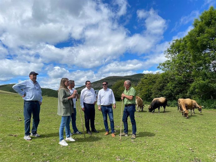 Visita del portavoz de Agricultura del PP en el Congreso, Pedro Gallardo, a una ganadería en Taja (Teverga) junto a la diputada regional Cristina Vega y el diputado en el Congreso Silverio Argüelles.