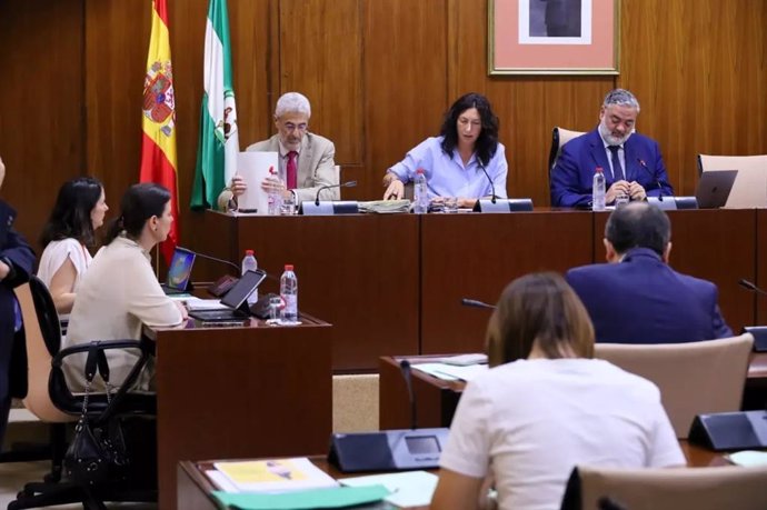 La consejera de Inclusión Social, Juventud, Familias e Igualdad, Loles López, en su comparecencia en el Parlamento andaluz.